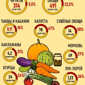 инфографика статистика импорта фруктов и овощей из Китая в Россию