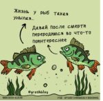 карикатура рыбы тапки с Али Экспресс АРТ БЛОГ ГРОШ @groshblog